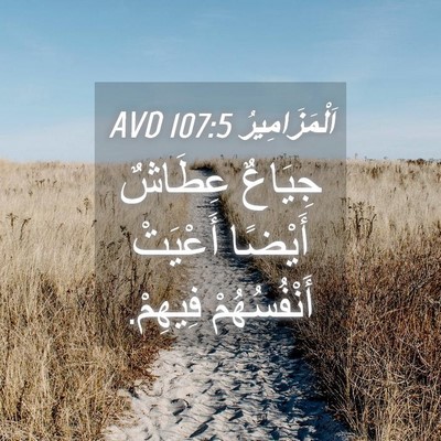 Picture 04 - اَلْمَزَامِيرُ 107:5 AVD - جِيَاعٌ عِطَاشٌ أَيْضًا - Bible Verse Picture