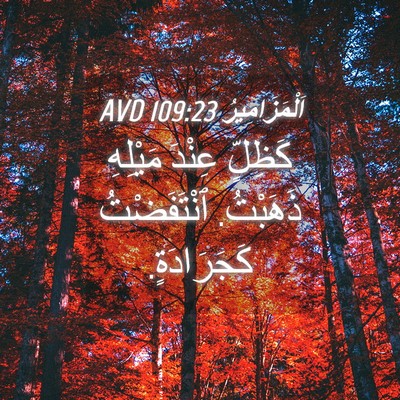 Picture 04 - اَلْمَزَامِيرُ 109:23 AVD - كَظِلٍّ عِنْدَ مَيْلِهِ - Bible Verse Picture