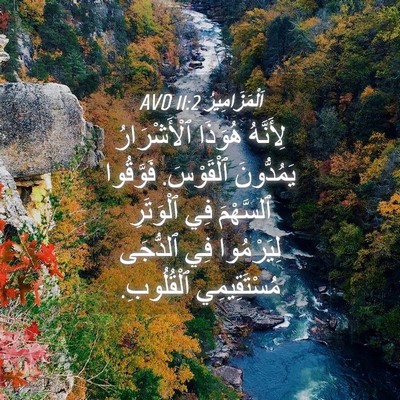 Picture 04 - اَلْمَزَامِيرُ 11:2 AVD - لِأَنَّهُ هُوَذَا - Bible Verse Picture