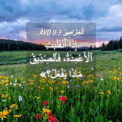 Picture 04 - اَلْمَزَامِيرُ 11:3 AVD - إِذَا ٱنْقَلَبَتِ - Bible Verse Picture
