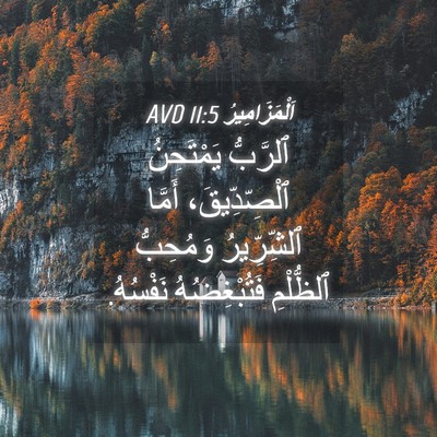 Picture 04 - اَلْمَزَامِيرُ 11:5 AVD - ٱلرَّبُّ يَمْتَحِنُ - Bible Verse Picture