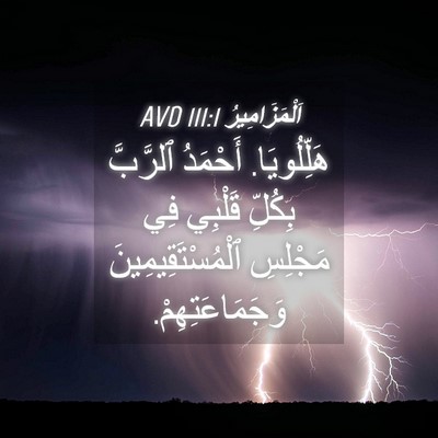 Picture 04 - اَلْمَزَامِيرُ 111:1 AVD - هَلِّلُويَا. أَحْمَدُ - Bible Verse Picture