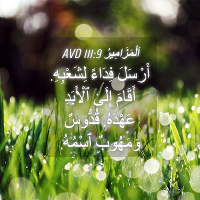 Picture 04 - اَلْمَزَامِيرُ 111:9 AVD - أَرْسَلَ فِدَاءً - Bible Verse Picture