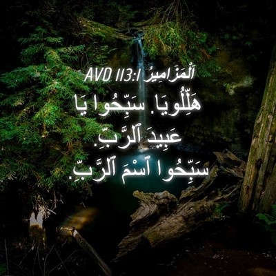 Picture 04 - اَلْمَزَامِيرُ 113:1 AVD - هَلِّلُويَا. سَبِّحُوا يَا - Bible Verse Picture
