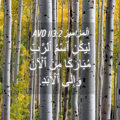 Picture 04 - اَلْمَزَامِيرُ 113:2 AVD - لِيَكُنِ ٱسْمُ ٱلرَّبِّ - Bible Verse Picture