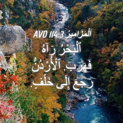 Picture 04 - اَلْمَزَامِيرُ 114:3 AVD - ٱلْبَحْرُ رَآهُ فَهَرَبَ. - Bible Verse Picture