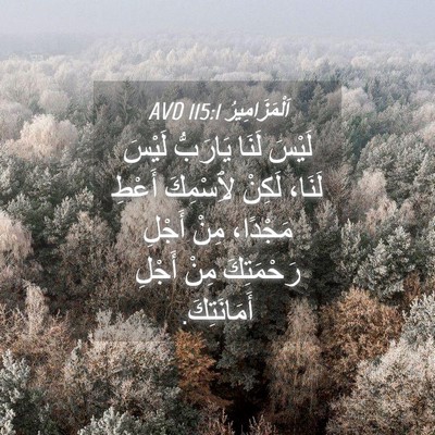 Picture 04 - اَلْمَزَامِيرُ 115:1 AVD - لَيْسَ لَنَا يَارَبُّ - Bible Verse Picture