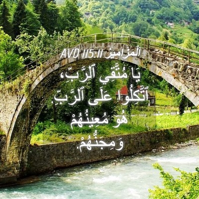 Picture 04 - اَلْمَزَامِيرُ 115:11 AVD - يَا مُتَّقِي ٱلرَّبِّ، - Bible Verse Picture