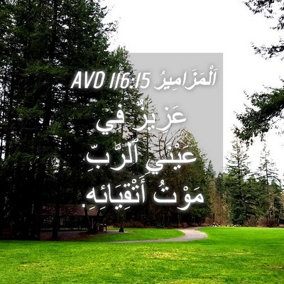 Picture 04 - اَلْمَزَامِيرُ 116:15 AVD - عَزِيزٌ فِي عَيْنَيِ - Bible Verse Picture