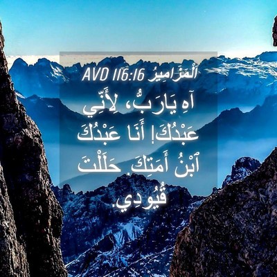 Picture 04 - اَلْمَزَامِيرُ 116:16 AVD - آهِ يَارَبُّ، لِأَنِّي - Bible Verse Picture