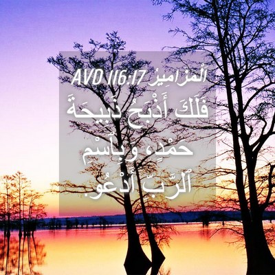 Picture 04 - اَلْمَزَامِيرُ 116:17 AVD - فَلَكَ أَذْبَحُ ذَبِيحَةَ - Bible Verse Picture