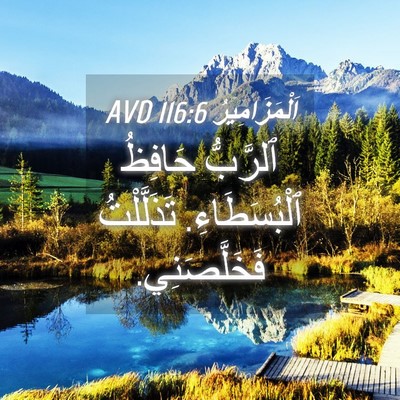 Picture 04 - اَلْمَزَامِيرُ 116:6 AVD - ٱلرَّبُّ حَافِظُ - Bible Verse Picture
