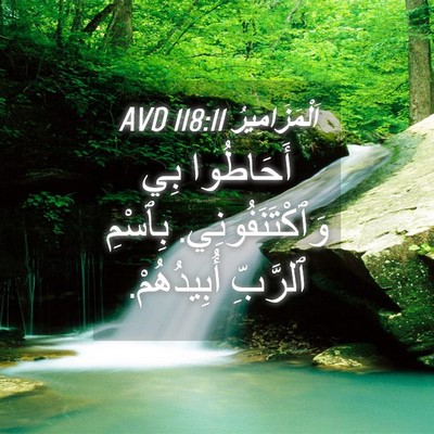 Picture 04 - اَلْمَزَامِيرُ 118:11 AVD - أَحَاطُوا بِي - Bible Verse Picture