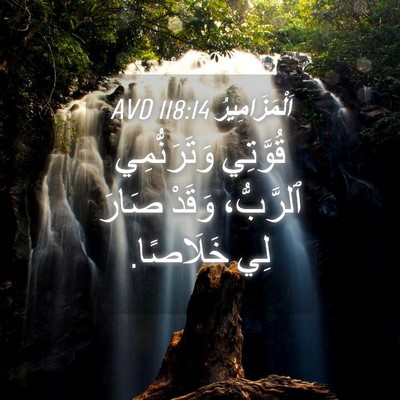 Picture 04 - اَلْمَزَامِيرُ 118:14 AVD - قُوَّتِي وَتَرَنُّمِي - Bible Verse Picture