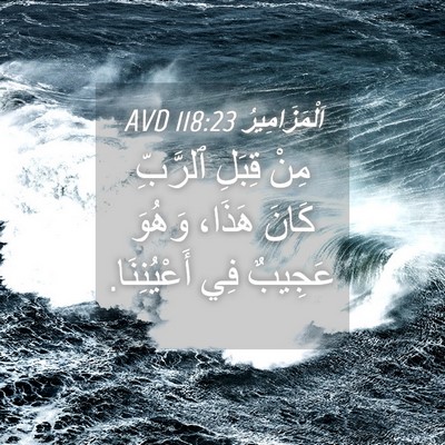 Picture 04 - اَلْمَزَامِيرُ 118:23 AVD - مِنْ قِبَلِ ٱلرَّبِّ كَانَ - Bible Verse Picture