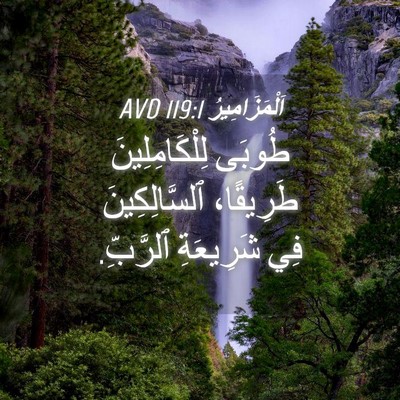 Picture 04 - اَلْمَزَامِيرُ 119:1 AVD - طُوبَى لِلْكَامِلِينَ - Bible Verse Picture