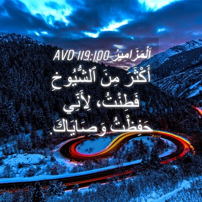 Picture 04 - اَلْمَزَامِيرُ 119:100 AVD - أَكْثَرَ مِنَ ٱلشُّيُوخِ - Bible Verse Picture