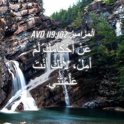 Picture 04 - اَلْمَزَامِيرُ 119:102 AVD - عَنْ أَحْكَامِكَ لَمْ - Bible Verse Picture