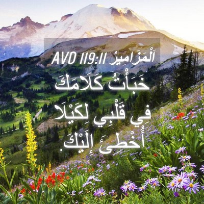 Picture 04 - اَلْمَزَامِيرُ 119:11 AVD - خَبَأْتُ كَلَامَكَ فِي - Bible Verse Picture