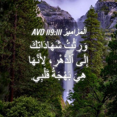 Picture 04 - اَلْمَزَامِيرُ 119:111 AVD - وَرِثْتُ شَهَادَاتِكَ - Bible Verse Picture