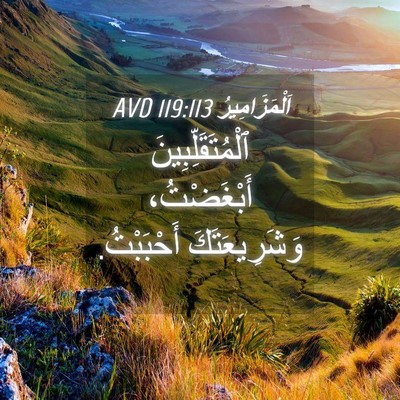 Picture 04 - اَلْمَزَامِيرُ 119:113 AVD - ٱلْمُتَقَلِّبِينَ - Bible Verse Picture