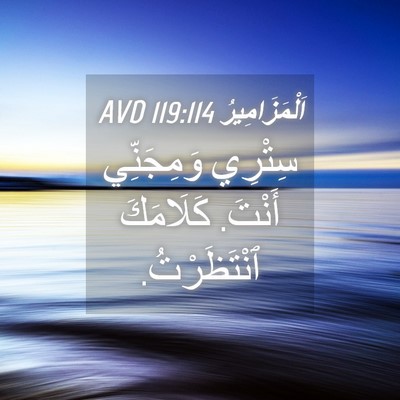 Picture 04 - اَلْمَزَامِيرُ 119:114 AVD - سِتْرِي وَمِجَنِّي أَنْتَ. - Bible Verse Picture