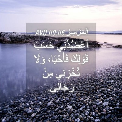 Picture 04 - اَلْمَزَامِيرُ 119:116 AVD - ٱعْضُدْنِي حَسَبَ - Bible Verse Picture