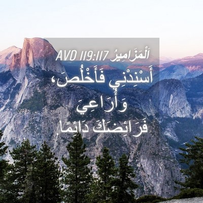Picture 04 - اَلْمَزَامِيرُ 119:117 AVD - أَسْنِدْنِي فَأَخْلُصَ، - Bible Verse Picture
