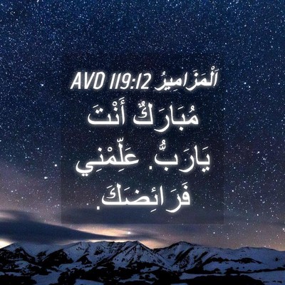 Picture 04 - اَلْمَزَامِيرُ 119:12 AVD - مُبَارَكٌ أَنْتَ يَارَبُّ. - Bible Verse Picture