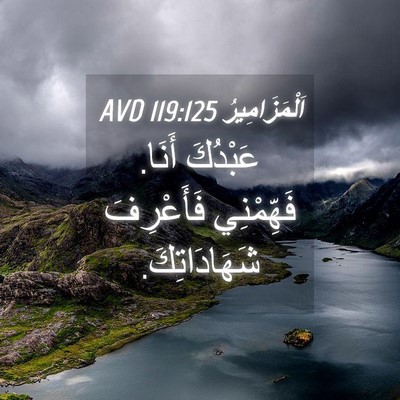 Picture 04 - اَلْمَزَامِيرُ 119:125 AVD - عَبْدُكَ أَنَا. فَهِّمْنِي - Bible Verse Picture