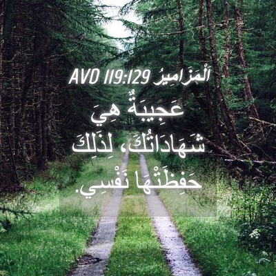 Picture 04 - اَلْمَزَامِيرُ 119:129 AVD - عَجِيبَةٌ هِيَ - Bible Verse Picture