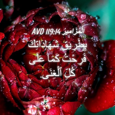 Picture 04 - اَلْمَزَامِيرُ 119:14 AVD - بِطَرِيقِ شَهَادَاتِكَ - Bible Verse Picture