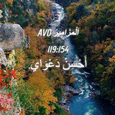 Picture 04 - اَلْمَزَامِيرُ 119:154 AVD - أَحْسِنْ - Bible Verse Picture