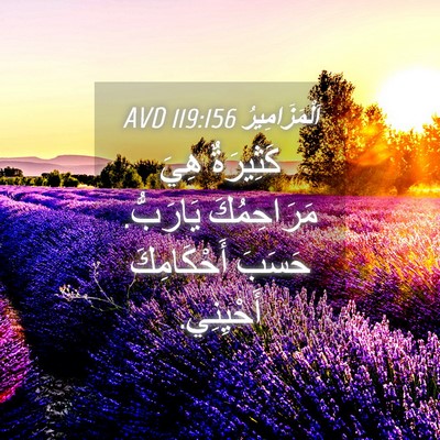 Picture 04 - اَلْمَزَامِيرُ 119:156 AVD - كَثِيرَةٌ هِيَ - Bible Verse Picture