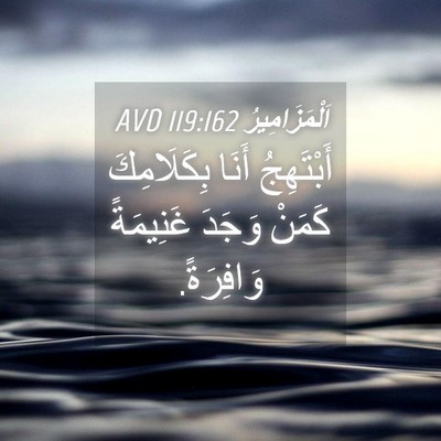 Picture 04 - اَلْمَزَامِيرُ 119:162 AVD - أَبْتَهِجُ أَنَا - Bible Verse Picture