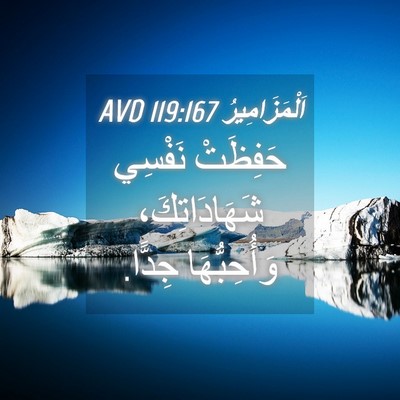 Picture 04 - اَلْمَزَامِيرُ 119:167 AVD - حَفِظَتْ نَفْسِي - Bible Verse Picture