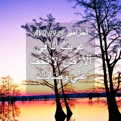 Picture 04 - اَلْمَزَامِيرُ 119:19 AVD - غَرِيبٌ أَنَا فِي - Bible Verse Picture