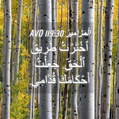 Picture 04 - اَلْمَزَامِيرُ 119:30 AVD - ٱخْتَرْتُ طَرِيقَ - Bible Verse Picture