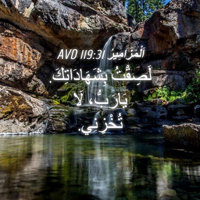 Picture 04 - اَلْمَزَامِيرُ 119:31 AVD - لَصِقْتُ بِشَهَادَاتِكَ. - Bible Verse Picture