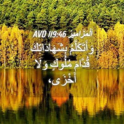 Picture 04 - اَلْمَزَامِيرُ 119:46 AVD - وَأَتَكَلَّمُ - Bible Verse Picture