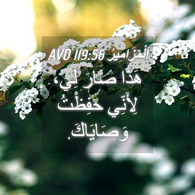 Picture 04 - اَلْمَزَامِيرُ 119:56 AVD - هَذَا صَارَ لِي، لِأَنِّي - Bible Verse Picture