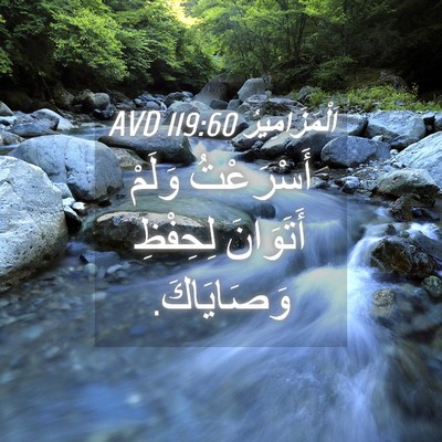 Picture 04 - اَلْمَزَامِيرُ 119:60 AVD - أَسْرَعْتُ وَلَمْ - Bible Verse Picture