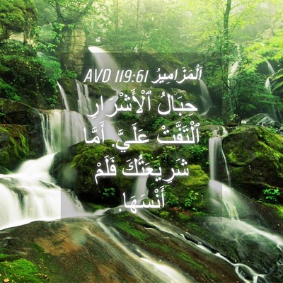 Picture 04 - اَلْمَزَامِيرُ 119:61 AVD - حِبَالُ ٱلْأَشْرَارِ - Bible Verse Picture