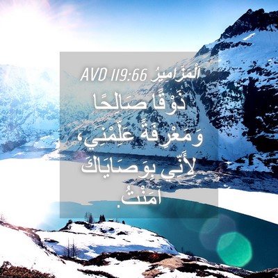 Picture 04 - اَلْمَزَامِيرُ 119:66 AVD - ذَوْقًا صَالِحًا - Bible Verse Picture
