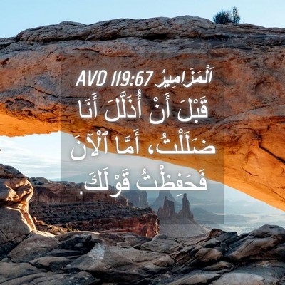 Picture 04 - اَلْمَزَامِيرُ 119:67 AVD - قَبْلَ أَنْ أُذَلَّلَ - Bible Verse Picture