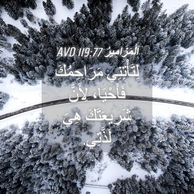 Picture 04 - اَلْمَزَامِيرُ 119:77 AVD - لِتَأْتِنِي مَرَاحِمُكَ - Bible Verse Picture