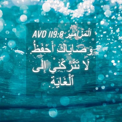 Picture 04 - اَلْمَزَامِيرُ 119:8 AVD - وَصَايَاكَ أَحْفَظُ. لَا - Bible Verse Picture