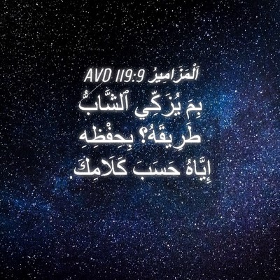 Picture 04 - اَلْمَزَامِيرُ 119:9 AVD - بِمَ يُزَكِّي ٱلشَّابُّ - Bible Verse Picture
