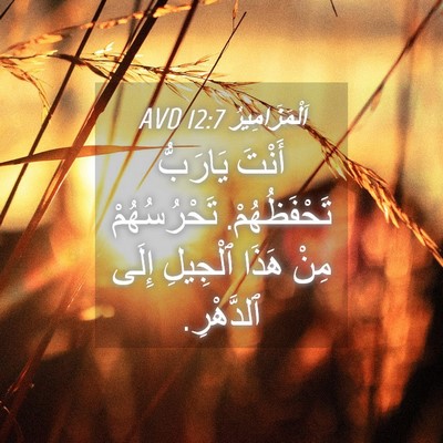 Picture 04 - اَلْمَزَامِيرُ 12:7 AVD - أَنْتَ يَارَبُّ - Bible Verse Picture