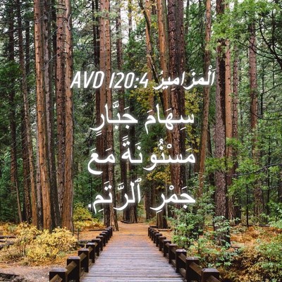Picture 04 - اَلْمَزَامِيرُ 120:4 AVD - سِهَامَ جَبَّارٍ - Bible Verse Picture